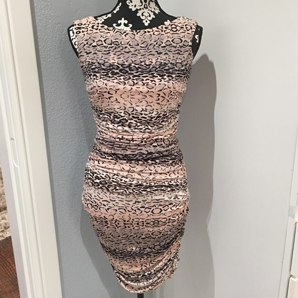 Cache Dresses